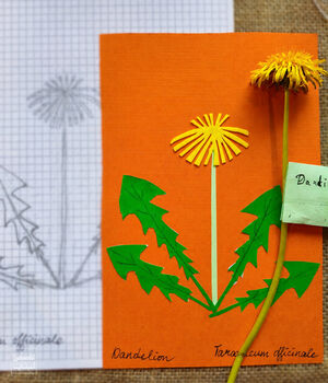 Workshop Van plant tot icoon (Engelstalig)