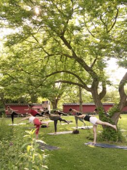 Yoga in de Hortus (Uitverkocht)
