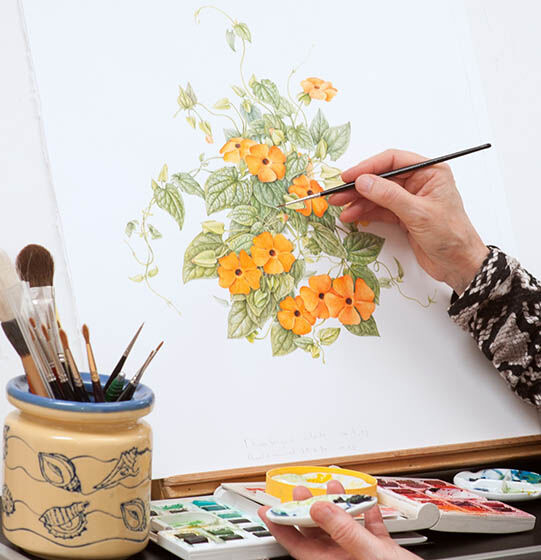 Zomercursus botanisch tekenen