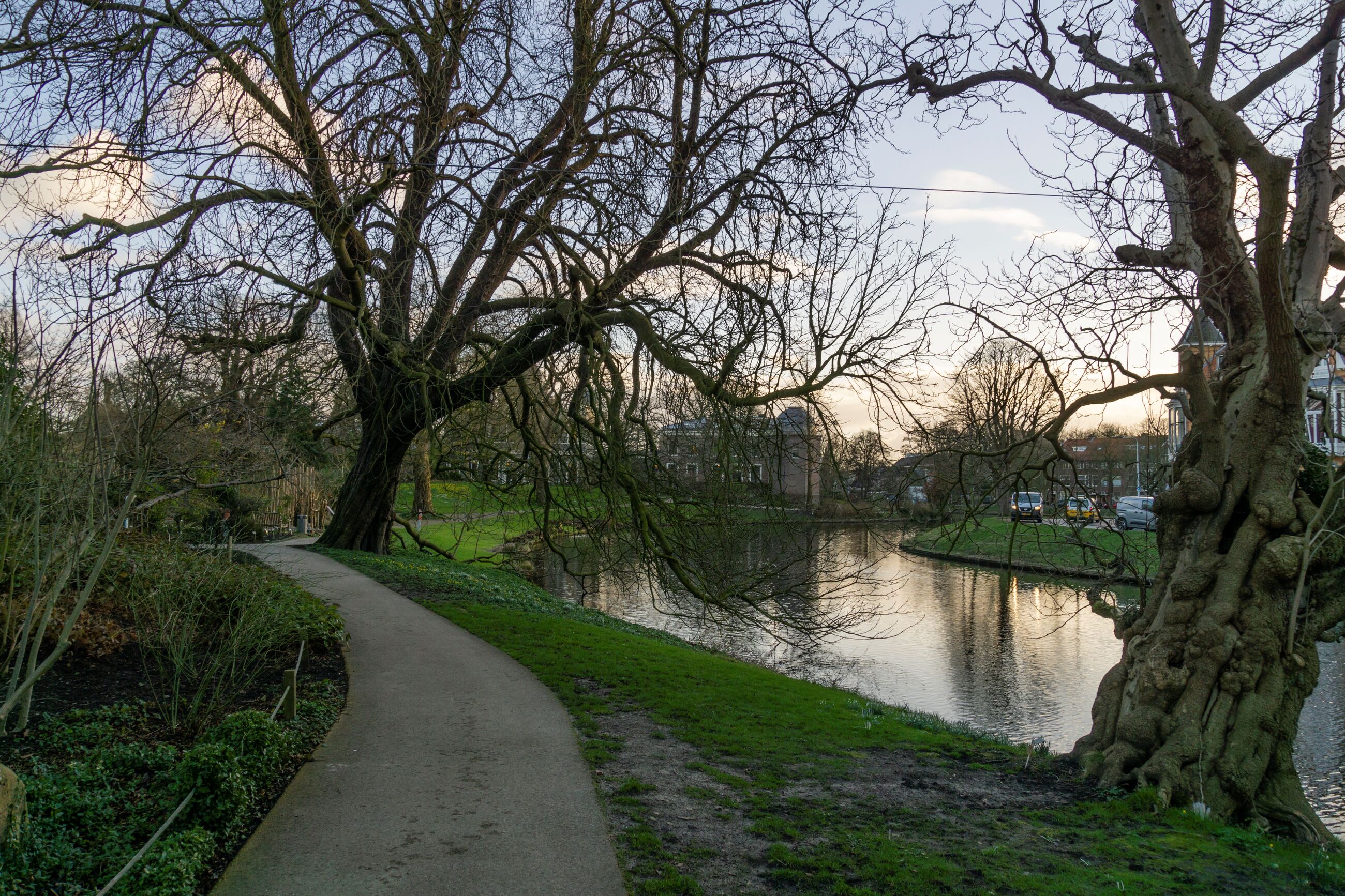 Zondagwandeling Bomen kijken als een kunstenaar