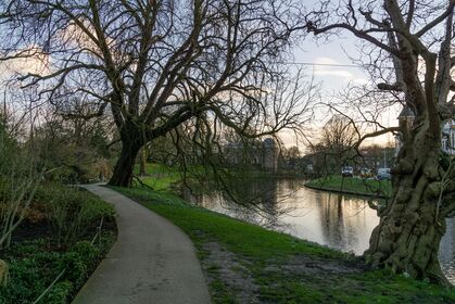 Zondagwandeling Bomen kijken als een kunstenaar