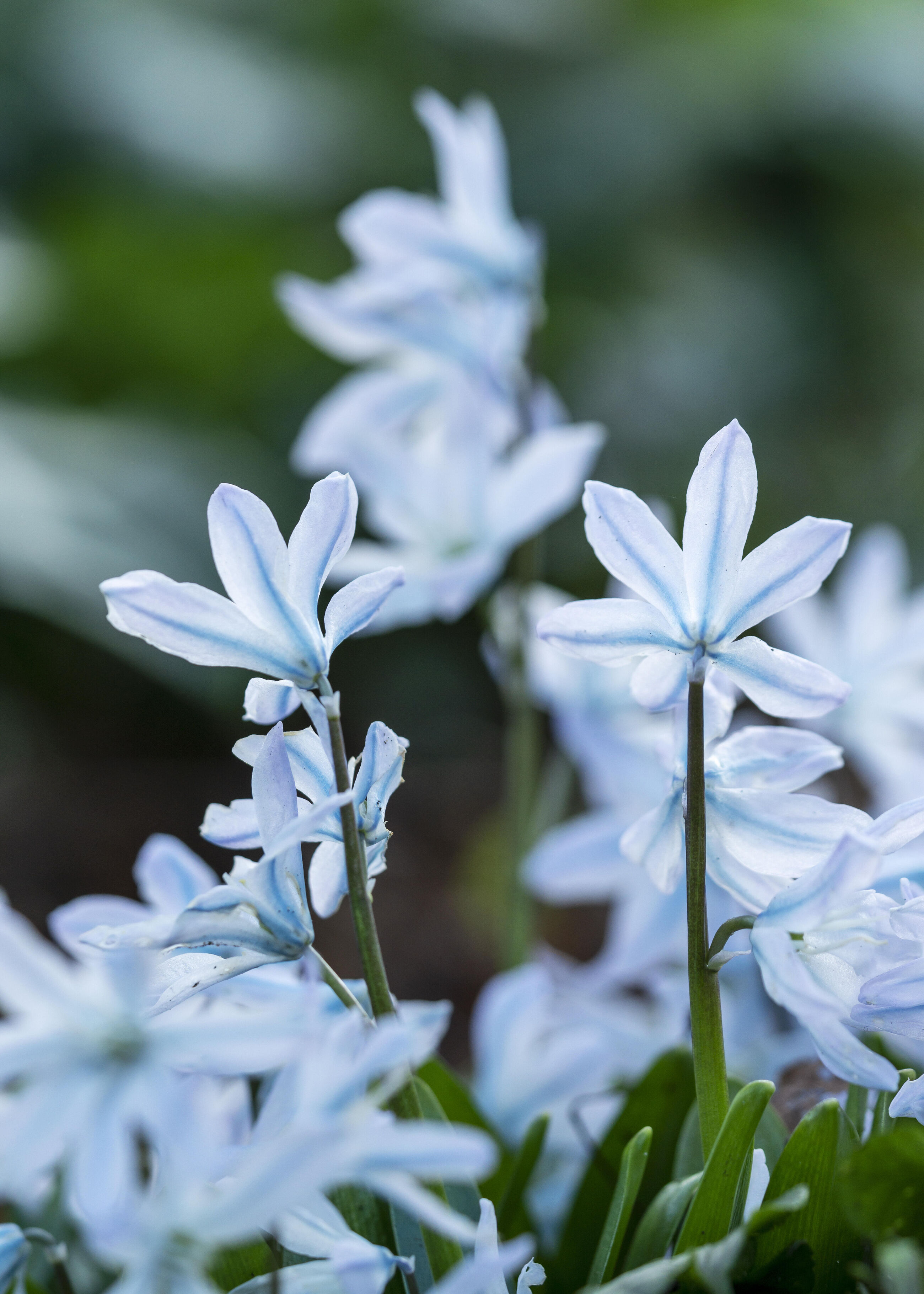 Zondagwandeling Wintersmaken